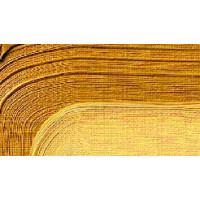 Краска масляная Schmincke Akademie Oil color 60 мл yellow ochre
