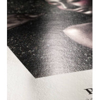 Фотопапір Hahnemuhle Photo Rag® Metallic 340 г/м² , глянцевий, А3+, 25 аркушів