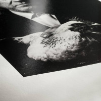 Фотобумага Hahnemuhle Photo Rag® Baryta 315 г/м² , глянцевая, А2, 25 листов