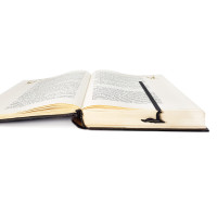Закладка для книг «Лохнеське чудовисько»