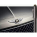 Перьевая ручка Graf von Faber-Castell for Bentley Limited Edition Centenary, перо F, 141811