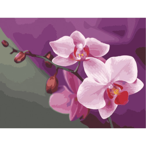 Набор акриловая живопись по номерам Розовые орхидеи 40х50см Идейка