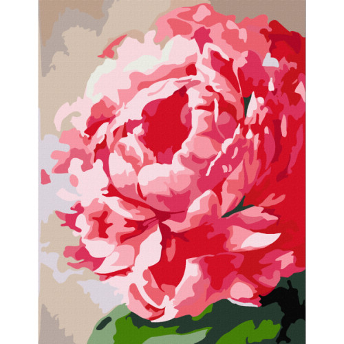 Набор-стандарт картина по номерам „Цветок пиона“ 35х45см ROSA START