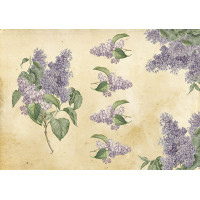 Декупажная карта №0043, 21 см x 29,7 см