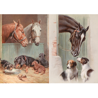 Декупажная карта №0135 21x29,7 см