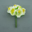 Квіти жасмину Салатові 6 шт