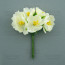 Квіти жасмину Кремові 6 шт
