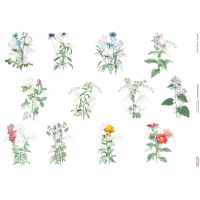 Декупажна картка №0605, 29,7x42 см