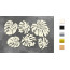 Набор чипбордов Botany exotic 10х15 см №718 Черный