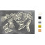 Набор чипбордов Botany exotic 10х15 см №724 Золото