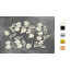Набір чіпбордів Autumn botanical diary 10х15 см №741 Молочний
