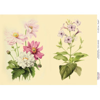 Декупажна картка №0409, 21 см x 29,7 см