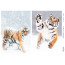Декупажна картка Тигри, акварель №0422 21x29,7 см
