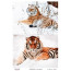 Декупажна картка Тигри, акварель №0424 21x29,7 см