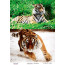 Декупажна картка Тигри, акварель №0426 21x29,7 см