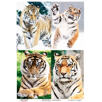 Декупажна картка Тигри, акварель №0435 21x29,7 см