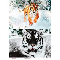 Декупажна картка Тигри, акварель №0436 21x29,7 см