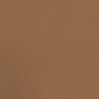 Дизайнерський картон темно-коричневий перламутровий, 30,5 см x 30,5 см, 250 г/м2