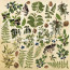 Лист з картинками для вирізання Botany summer №2 30,5х30,5 см