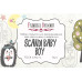 Набір листівок для розфарбовування аква чорнилами Scandi Baby Boy RU (рус) 8 шт 10х15 см