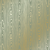 Лист односторонней бумаги с фольгированием Golden Wood Texture Olive, 30,5 см х 30,5 см