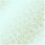Лист односторонней бумаги с фольгированием Golden Poinsettia Mint, 30,5 см х 30,5 см