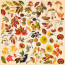 Лист з картинками для вирізання Autumn botanical diary 30,5х30,5 см