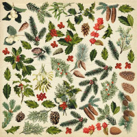 Лист з картинками для вирізання Winter botanical diary 30,5х30,5 см