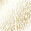 Лист односторонней бумаги с фольгированием Golden Fern White, 30,5 см х 30,5 см