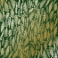 Аркуш одностороннього паперу з фольгуванням, Golden Fern, Green aquarelle, 30,5 см х 30,5 см