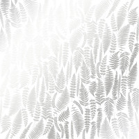 Лист односторонней бумаги с серебряным тиснением Silver Fern, White, 30,5 см х 30,5 см