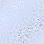 Аркуш одностороннього паперу з фольгуванням Golden Drawing pins and paperclips, Purple, 30,5 х 30,5 см
