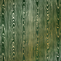 Лист одностороннього паперу з фольгуванням Golden Wood Texture, Dark green aquarelle, 30,5 х 30,5 см