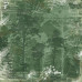 Набір двостороннього скраппаперу Forest life 30,5x30,5 см 10 аркушів