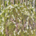 Набор двусторонней скрапбумаги Country winter 30,5x30,5 см 10 листов