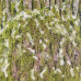 Набір двостороннього скраппаперу Country winter 20x20 см 10 аркушів