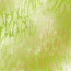Аркуш одностороннього паперу з фольгуванням Golden Fern, color Light green watercolor, 30,5 см х 30,5 см