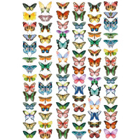 Оверлей Бабочки Мини (Mini Butterflies) 21х29,7 см