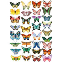 Оверлей Бабочки Цветные (Colored Butterflies) 21х29,7 см