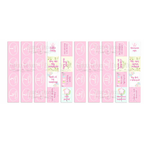 Набор полос с картинками для декорирования Puffy Fluffy Girl 5 шт 5х30,5 см