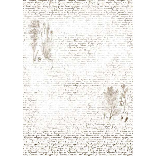 Оверлей Текст с Гербарием (Text with Herbarium) 21х29,7 см