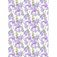 Оверлей Іриси (Irises) 21х29,7 см
