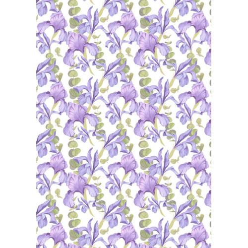 Оверлей Іриси (Irises) 21х29,7 см
