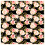 Деко веллум (лист кальки с рисунком) Розы на черном, 29х29 см