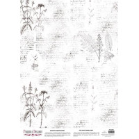 Деко веллум (Лист кальки з малюнком) Botany Spring 1, 29х29 см