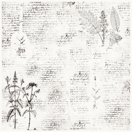 Деко веллум (Лист кальки з малюнком) Botany Spring 1, 29х29 см