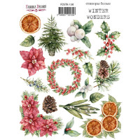 Набір наклейок (стікерів) 19 шт Winter wonders №138 Зимові Чудеса