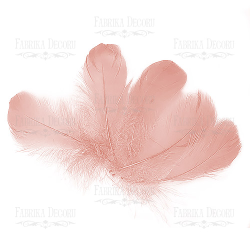 Набор перьев Винтажно-розовый