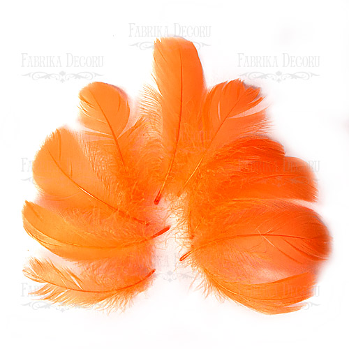 Набор перьев Оранжевые