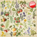 Набір скраппаперу Літній Ботанічний Щоденник (Summer botanical diary) 30,5x30,5 см, 10 листів